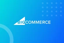 پلتفرم BigCommerce چه کارایی دارد؟