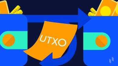 اندیکاتور UTXO چگونه کار می کند؟