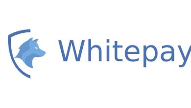 پلتفرم WhitePay چیست؟