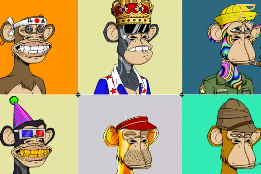 در مورد باشگاه قایقرانی مجموعه میمون های کسل چه می دانید؟