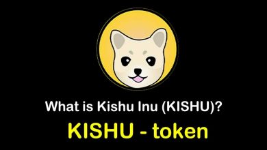 در مورد ارز دیجیتال کیشو اینو (Kishu inu) چه می دانید؟